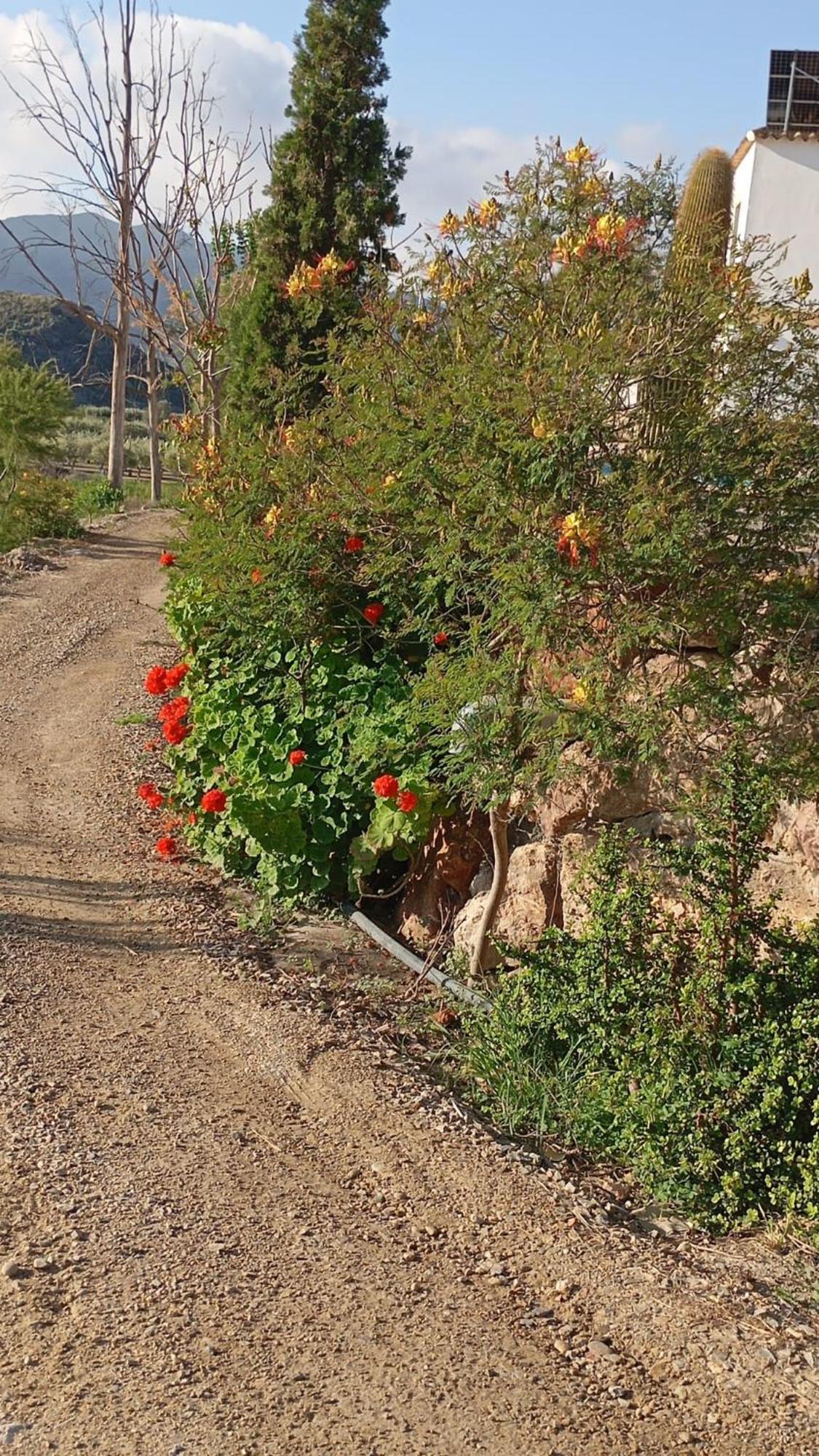 Cortijo Rural Molino El Tarahal Con Piscina Y Zonas Compartidas Exterior foto
