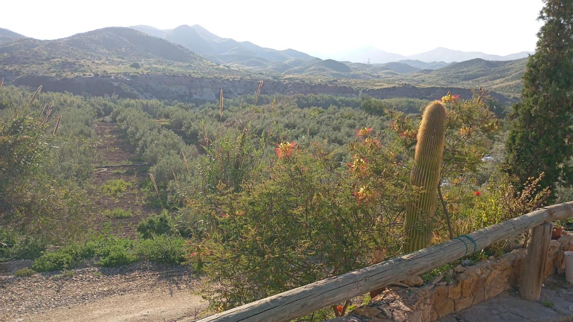 Cortijo Rural Molino El Tarahal Con Piscina Y Zonas Compartidas Exterior foto
